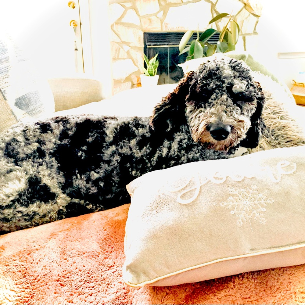 Meet your Posher, Mary